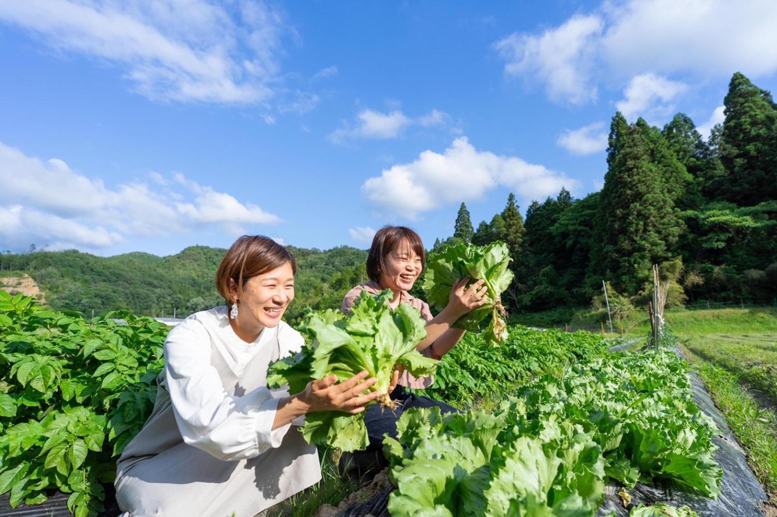 MUSIC FOREST Villa&Camp Tamba-Sasayama Esterno foto